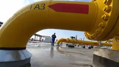 Zakon.kz / Павел Михеев, фото - Новости Zakon.kz от 04.11.2021 16:56