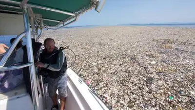 greenworld.today, фото - Новости Zakon.kz от 11.08.2020 14:18