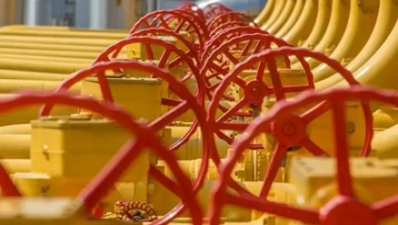 Норвегия заявила о готовности увеличить поставки газа в ЕС