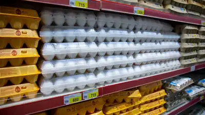 Алихан Смаилов сообщил, что правительство не планирует восстанавливать субсидии на пищевое яйцо