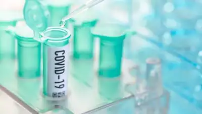 Istock, фото - Новости Zakon.kz от 18.10.2020 08:02