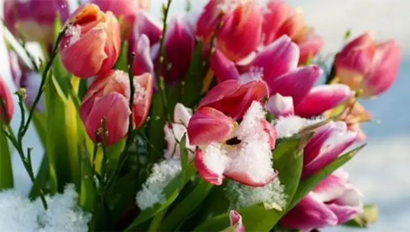 В июле в России выпал снег