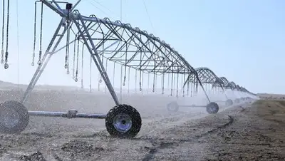 Zakon.kz, фото - Новости Zakon.kz от 17.08.2017 18:00