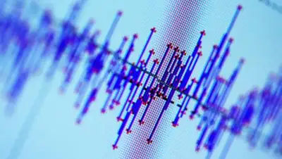 Zakon.kz, фото - Новости Zakon.kz от 21.01.2017 17:01