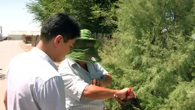 Zakon.kz, фото - Новости Zakon.kz от 09.07.2015 12:45