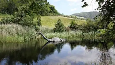 pixabay.com, фото - Новости Zakon.kz от 22.08.2021 21:36