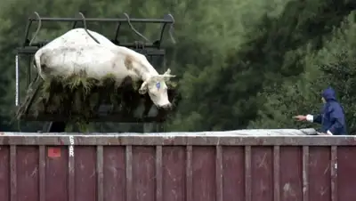 Zakon.kz, фото - Новости Zakon.kz от 28.10.2015 19:55