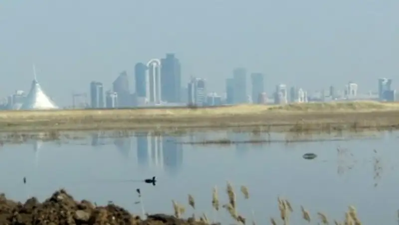 Аким Астаны заявил об устранении неприятного запаха Талдыколя