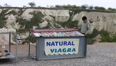 Фото с сайта fitcamp.com, фото - Новости Zakon.kz от 05.12.2017 20:51