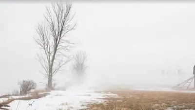 туман, снег , фото - Новости Zakon.kz от 17.03.2022 15:31