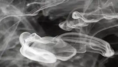 Zakon.kz, фото - Новости Zakon.kz от 29.01.2016 17:14