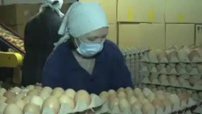 Zakon.kz, фото - Новости Zakon.kz от 09.11.2013 18:00