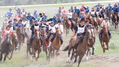Zakon.kz, фото - Новости Zakon.kz от 13.05.2016 17:48