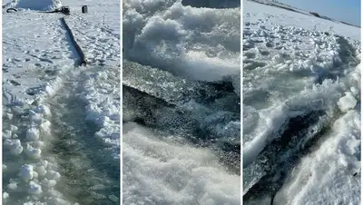 есиль, рыба, гибель, причина, мэгпр, фото - Новости Zakon.kz от 14.02.2022 10:15