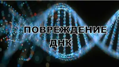 На казахстанский вейпах появятся страшные картинки о вреде курения, фото - Новости Zakon.kz от 20.02.2023 16:13