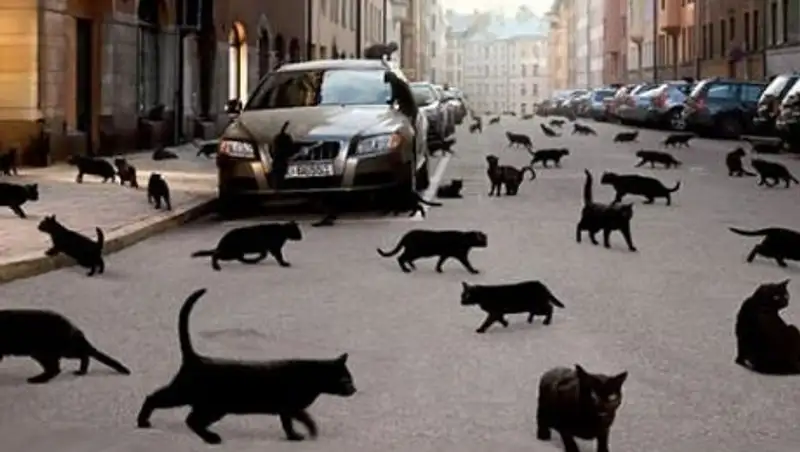 Приметы и суеверия со всего мира, которые не поддаются логике