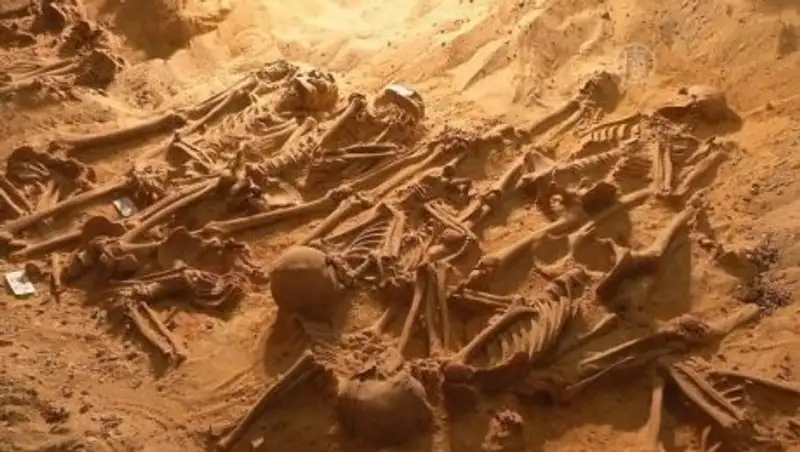 В Мексике обнаружены новые тайные захоронения с сотнями тел