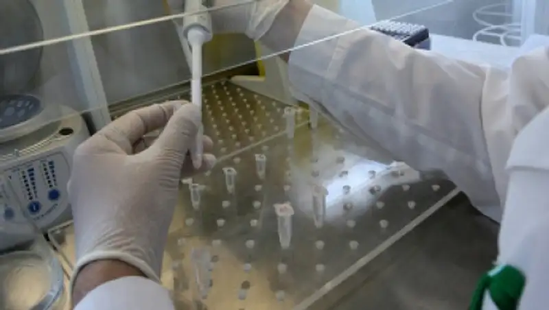 Свыше 1 тыс случаев заболевания гриппом выявлено с начала эпидсезона в Казахстане