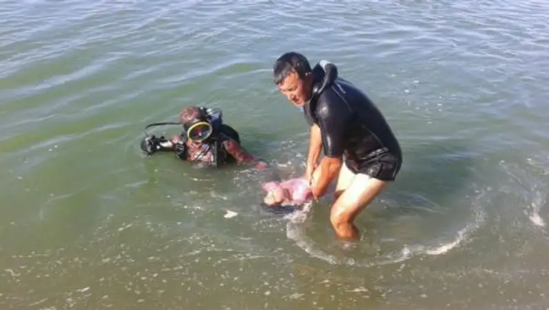 За минувшие сутки в водоемах страны утонули 15 человек