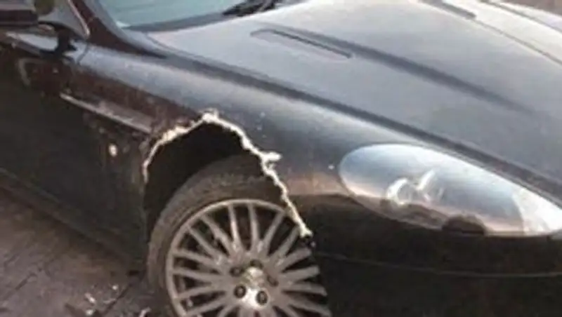 Собака попыталась съесть элитный автомобиль