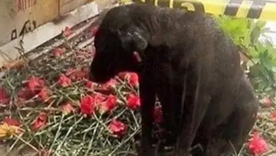 Zakon.kz, фото - Новости Zakon.kz от 09.01.2017 23:07