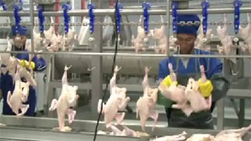 В Алматинской области 840 работников получили долгожданную зарплату