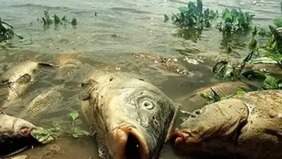 Zakon.kz, фото - Новости Zakon.kz от 31.10.2017 23:27