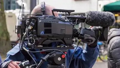 Pixabay, фото - Новости Zakon.kz от 31.07.2020 15:51