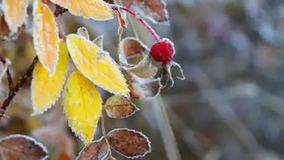 Zakon.kz, фото - Новости Zakon.kz от 01.10.2016 12:05
