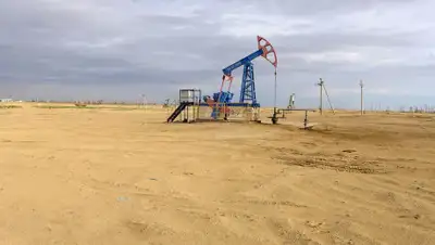 Pixabay, фото - Новости Zakon.kz от 24.06.2020 21:41