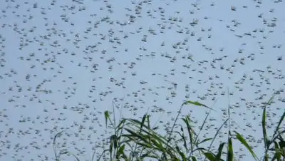 yandex.net, фото - Новости Zakon.kz от 04.06.2021 12:41