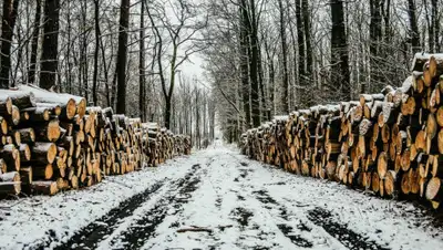 ekburg.tv, фото - Новости Zakon.kz от 01.02.2020 14:08