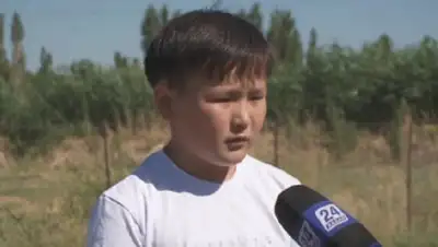 Zakon.kz, фото - Новости Zakon.kz от 07.06.2017 20:10