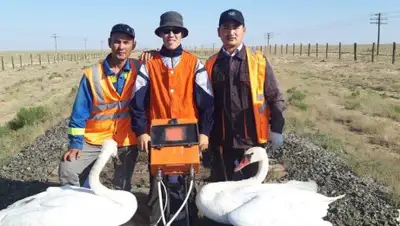 lada.kz, фото - Новости Zakon.kz от 20.08.2019 14:20