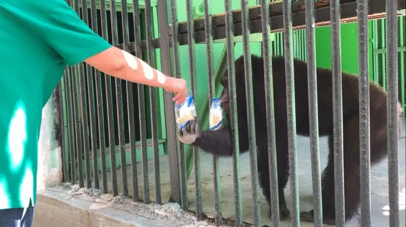 Как переносят жару животные в зоопарке Алматы , фото - Новости Zakon.kz от 13.07.2023 18:06
