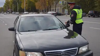 79 штрафов, ВКО, фото - Новости Zakon.kz от 14.06.2022 21:47