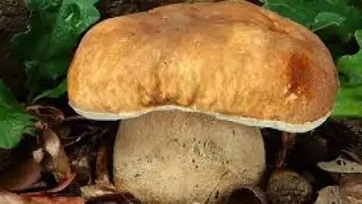 Zakon.kz, фото - Новости Zakon.kz от 25.05.2016 15:32