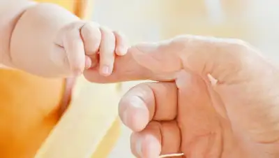 pixabay.com, фото - Новости Zakon.kz от 26.11.2019 22:53