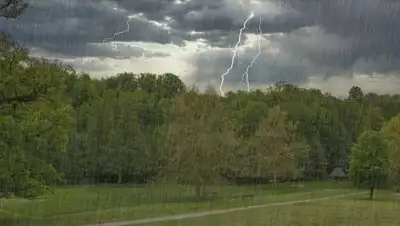 pixabay.com, фото - Новости Zakon.kz от 14.06.2021 16:55