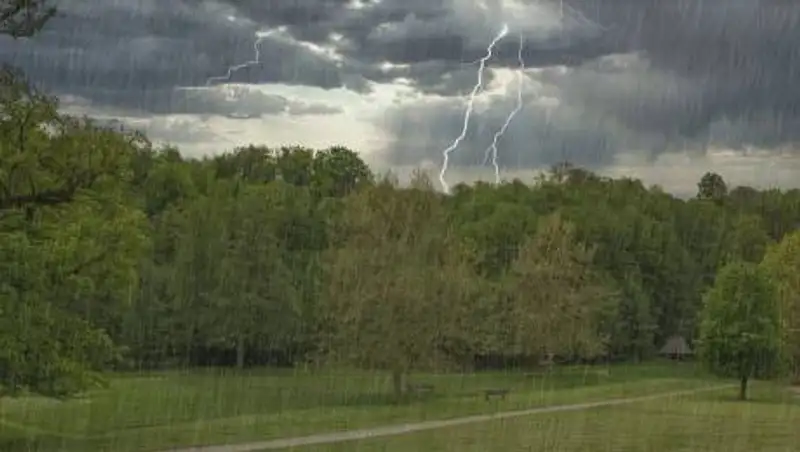 Кратковременные дожди с грозами ожидаются в Казахстане