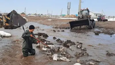 улица, фото - Новости Zakon.kz от 12.04.2022 21:06