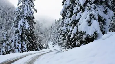 На большей части Казахстана ожидается снег в ближайшие три дня , фото - Новости Zakon.kz от 23.11.2022 13:24