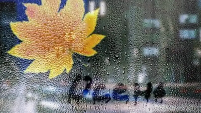 Холодные ладони октября: второй осенний месяц в Казахстане начнется с похолодания