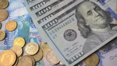 mail.kz, фото - Новости Zakon.kz от 05.08.2020 14:55