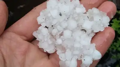 Zakon.kz, фото - Новости Zakon.kz от 27.05.2015 23:18