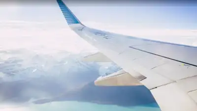 pixabay.com, фото - Новости Zakon.kz от 22.06.2020 18:36