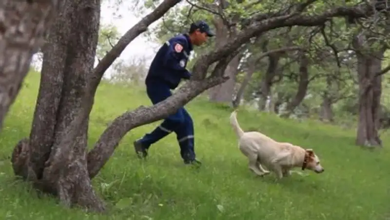 Полиция и волонтёры ищут пропавшего в Костанайской области 3-летнего мальчика