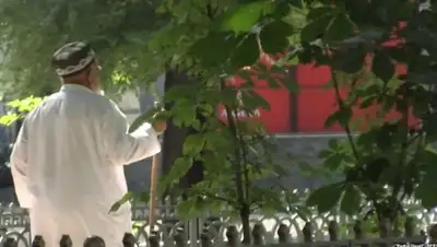 Zakon.kz, фото - Новости Zakon.kz от 28.12.2017 15:39