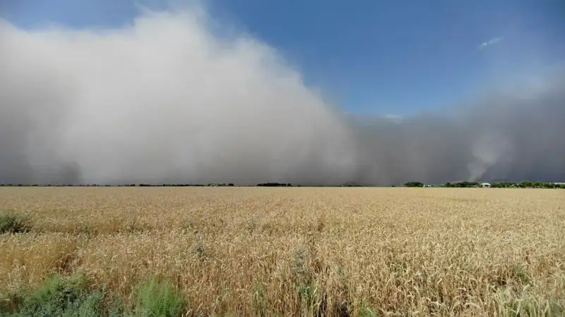 Огромная пыльная буря накрыла большие территории Узбекистана
