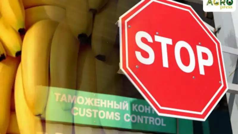Более 80 тонн опасных российских бананов пытались завезти в Казахстан